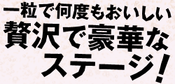 贅沢で豪華なステージ！