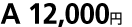12000円