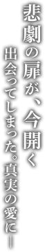 悲劇の扉が、今開く 出会ってしまった。真実の愛に－
